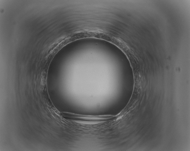 X0000083061110200702161749