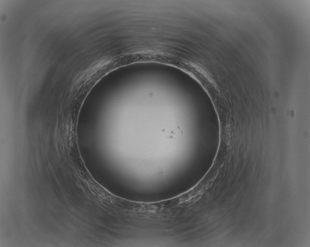 X0000083061111200702161749