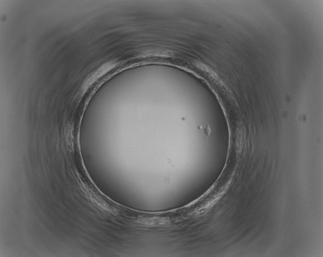 X0000083061113200702161749