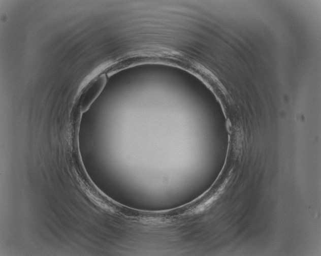 X0000083061114200702161749