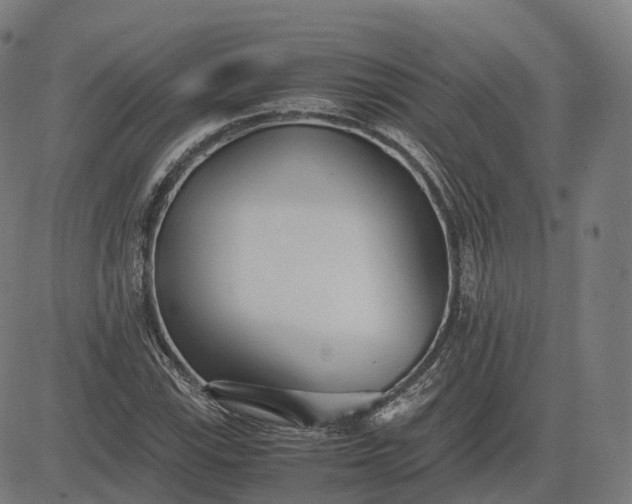 X0000083061115200702161749