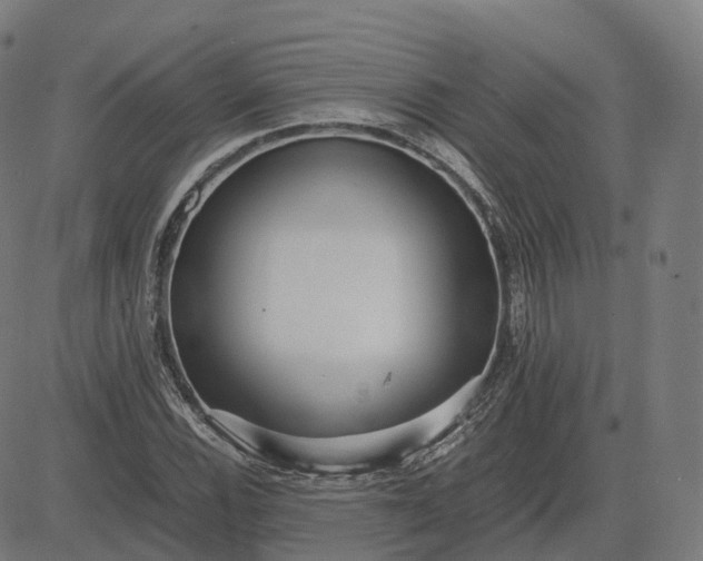 X0000083061116200702161749