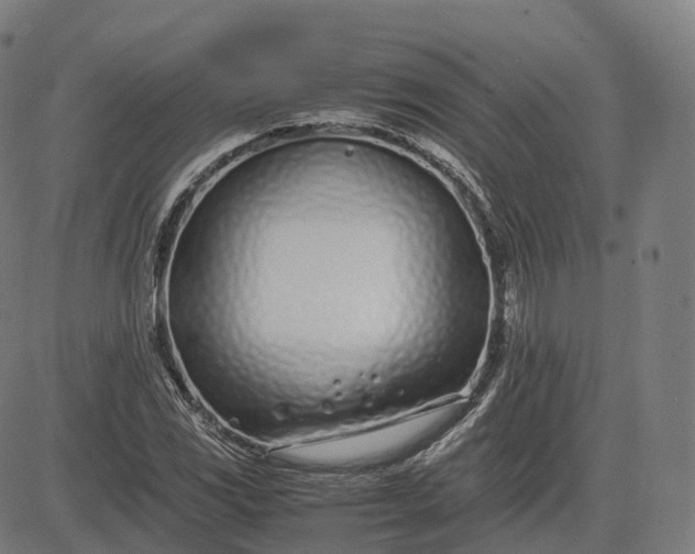 X0000083061117200702161749