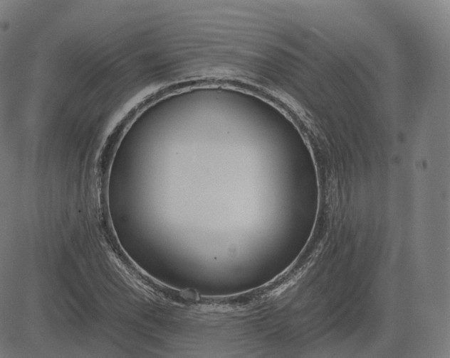 X0000083061118200702161750