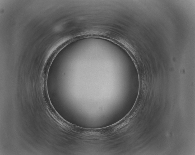 X0000083061119200702161750