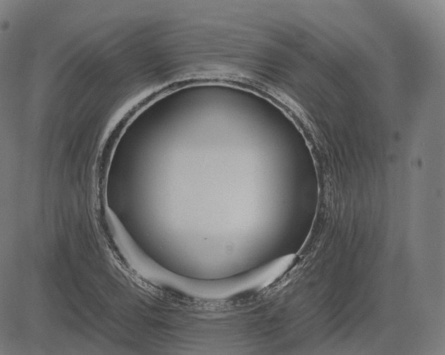 X0000083061120200702161750