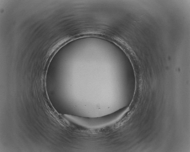 X0000083061121200702161750