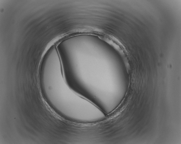 X0000083061122200702161750