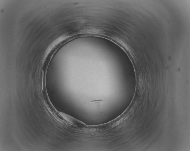 X0000083061123200702161750