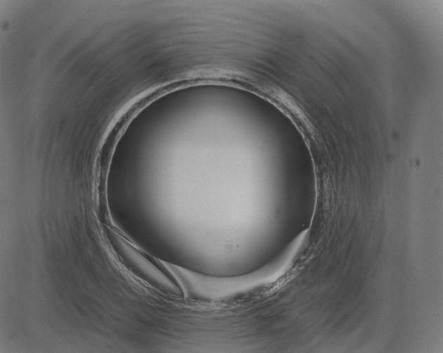 X0000083061124200702161750