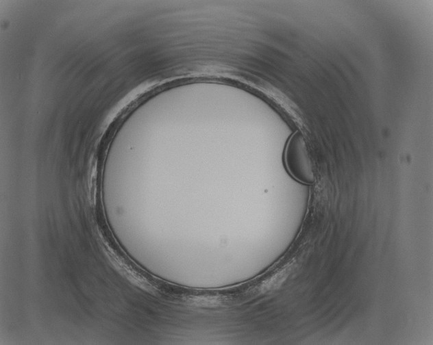 X0000083061126200702161750