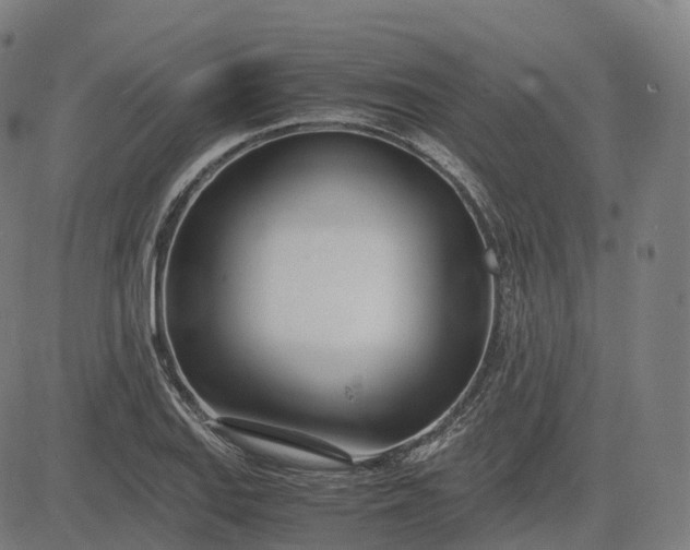 X0000083061127200702161750