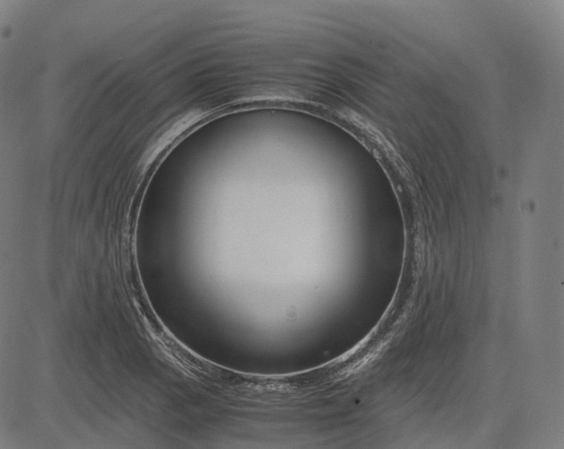 X0000083061129200702161750