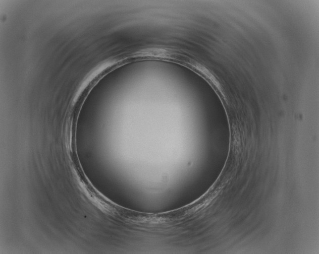 X0000083061131200702161750