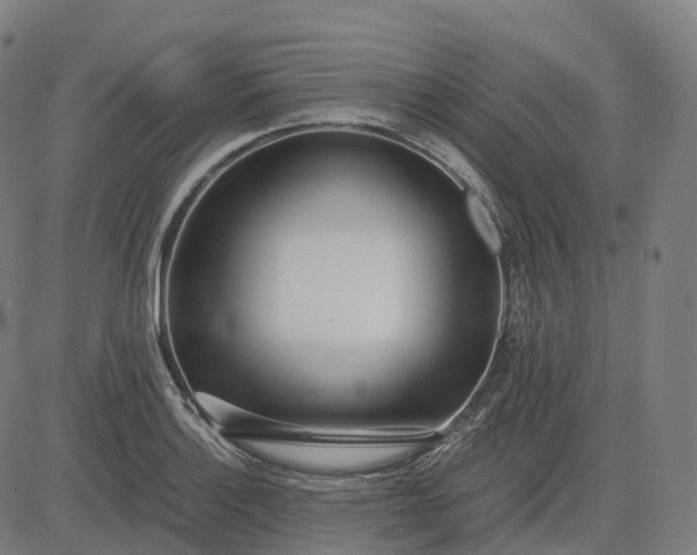 X0000083061132200702161750