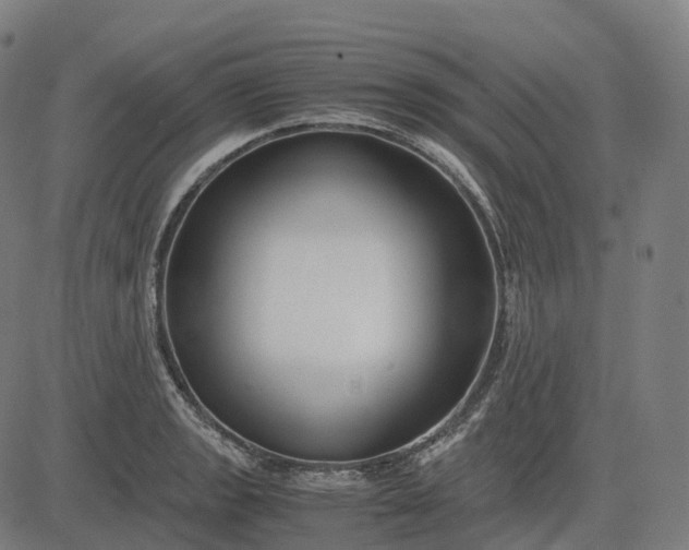 X0000083061133200702161750