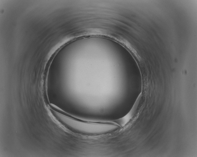 X0000083061134200702161750