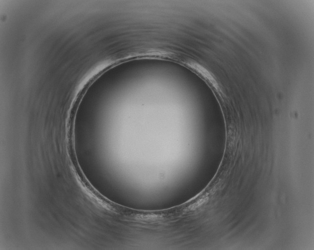 X0000083061135200702161750