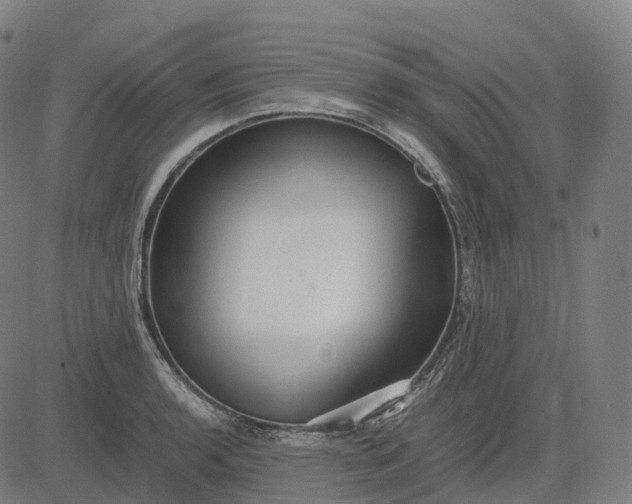 X0000083061136200702161750