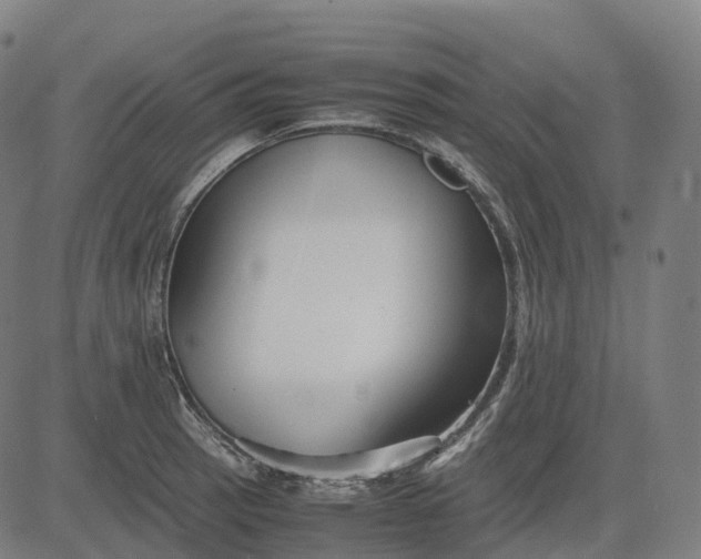 X0000083061137200702161750