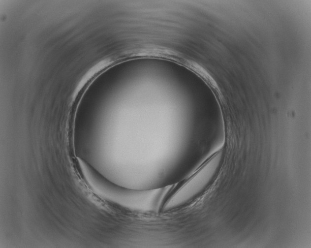 X0000083061138200702161750