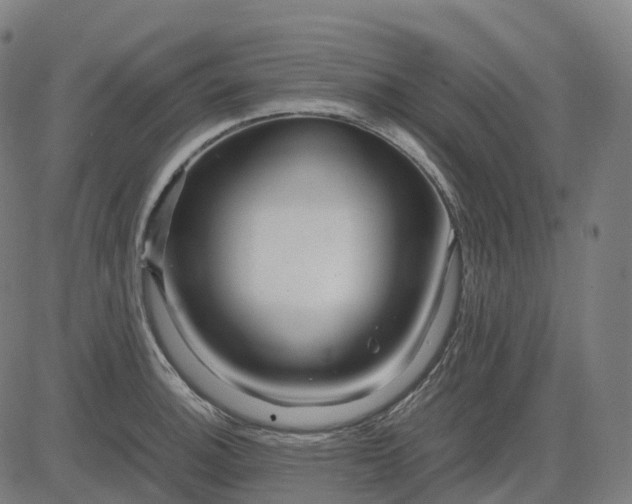 X0000083061140200702161750