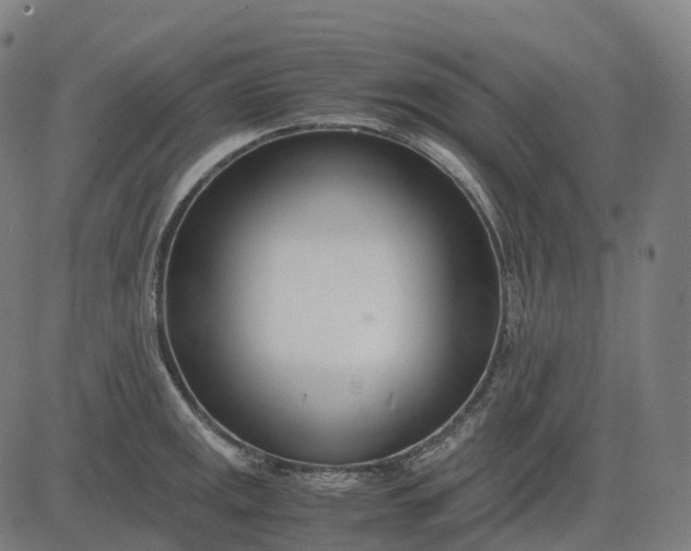 X0000083061141200702161750