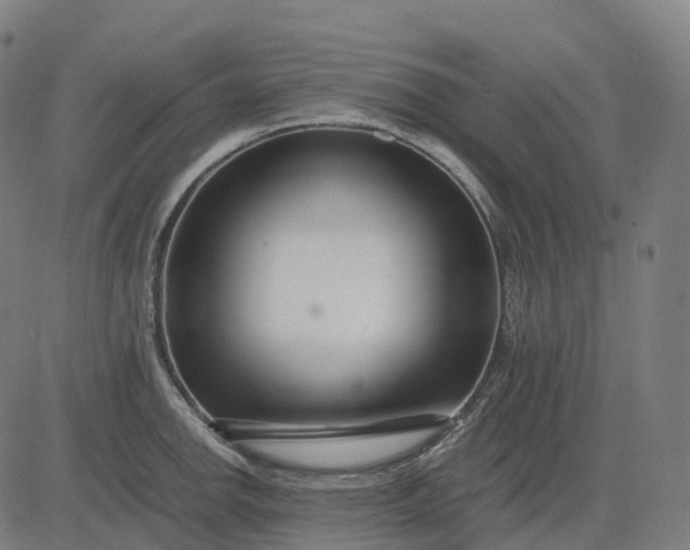 X0000083061142200702161750