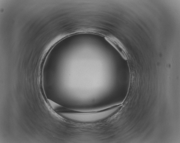 X0000083061143200702161750