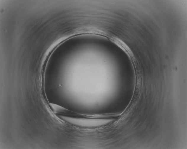 X0000083061144200702161750