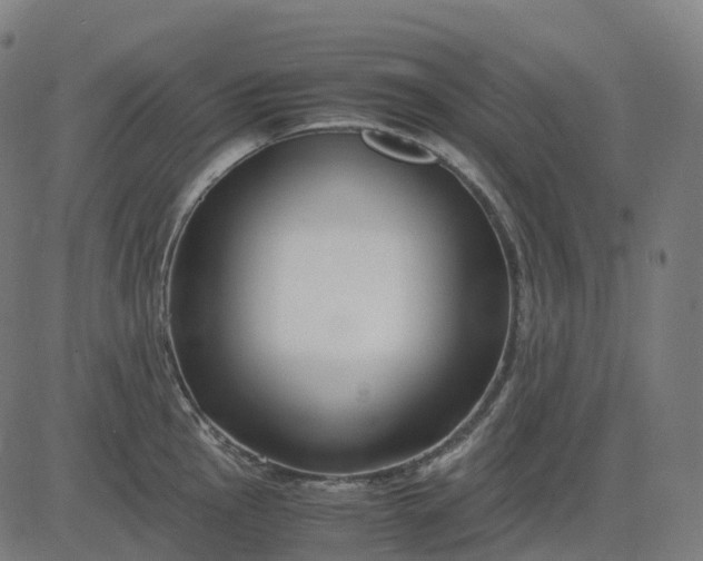 X0000083061145200702161750