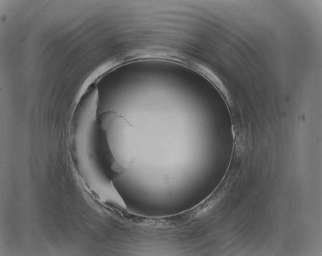 X0000083061146200702161750