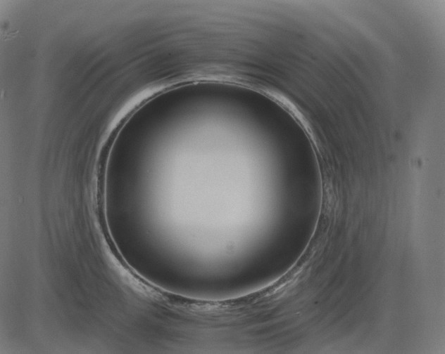 X0000083061147200702161750