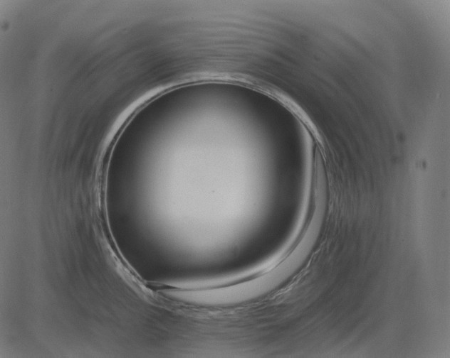 X0000083061148200702161750