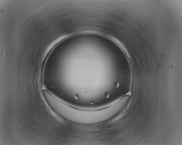 X0000083061149200702161750