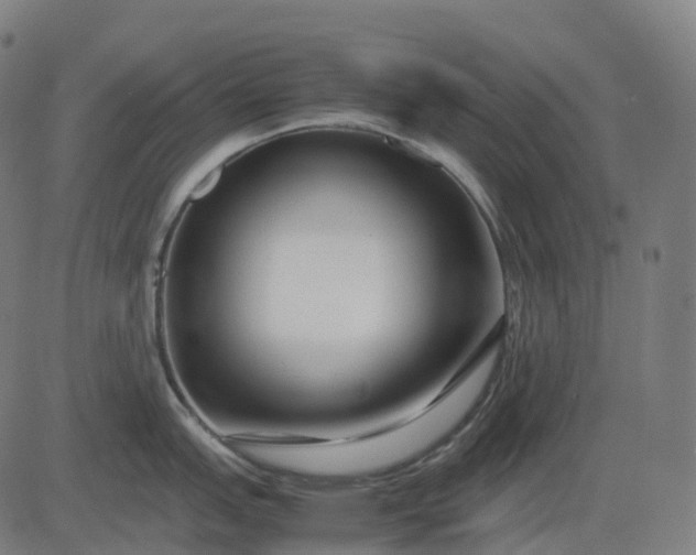 X0000083061151200702161750