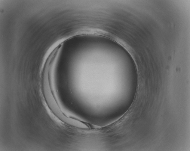 X0000083061152200702161750