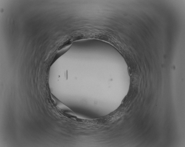 X0000083061153200702161749