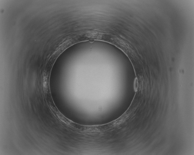 X0000083061154200702161749