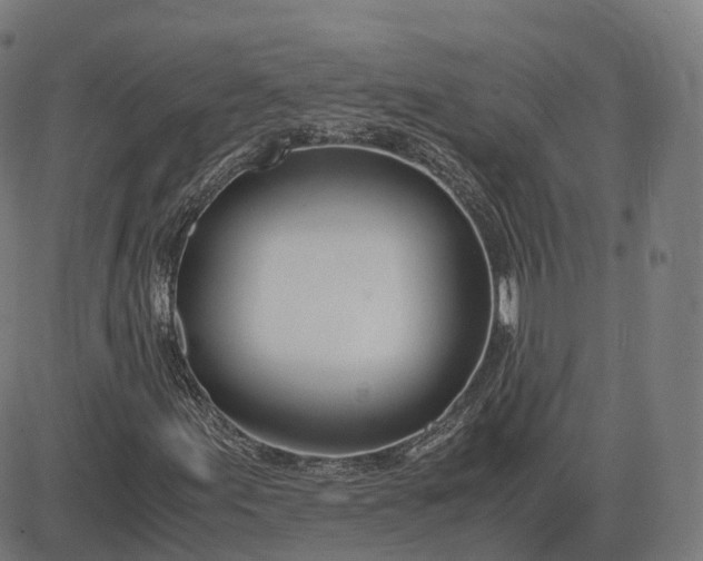 X0000083061155200702161749