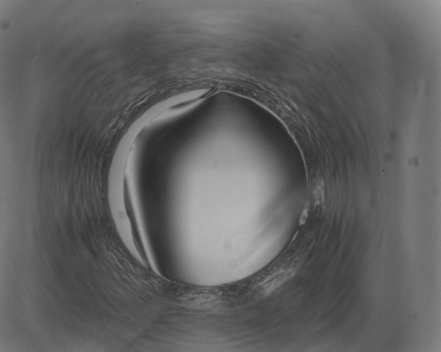 X0000083061156200702161749