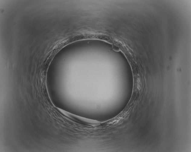 X0000083061157200702161749