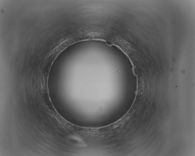 X0000083061158200702161749