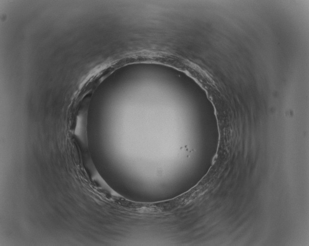 X0000083061160200702161749