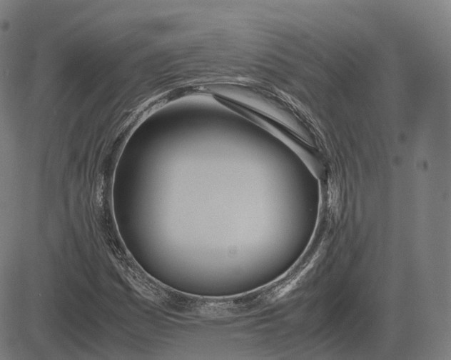 X0000083061161200702161749