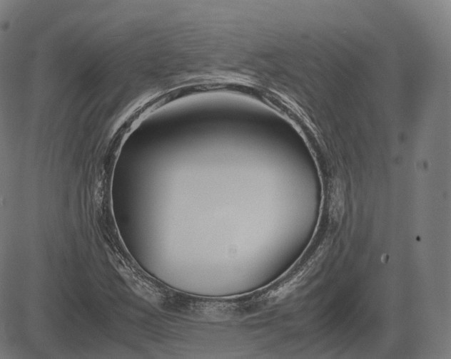 X0000083061163200702161749