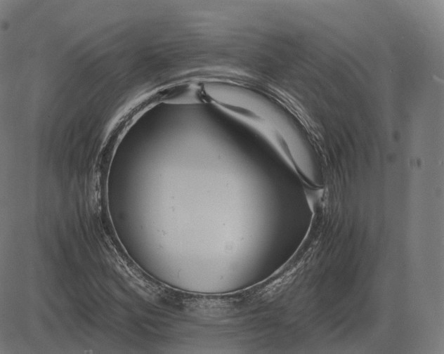 X0000083061164200702161749