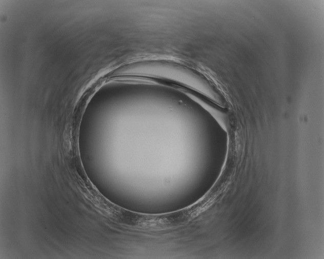 X0000083061165200702161749