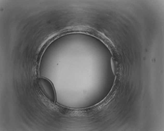 X0000083061166200702161749