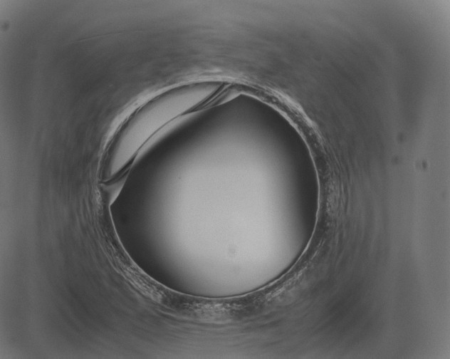 X0000083061167200702161749